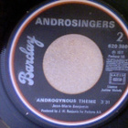 ANDROSINGERS :: ANDROGYNOUS SOUND / THEME :: VINYYLI 7" 1977 - pikkukuva 4