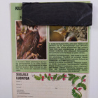 Kultapossu 2/1980 - pikkukuva 2