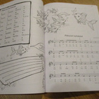 VIVO pikkukantele 5-KIELISEN KANTELEEN SOITTO-OPAS Ulla Piis - pikkukuva 4