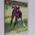 Sofia Wallin : Varsakirja - pikkukuva 1