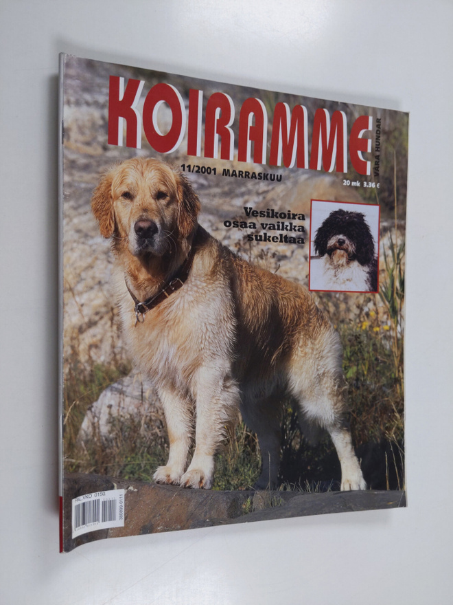 Koiramme 11/2001