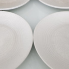 Dudson Evolution Lautaset / Ruokalautaset - yht. 6kpl - pikkukuva 5