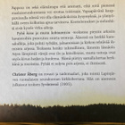 CHRISTER ÅBERG: PYHÄ KISSA JA MUITA KOHTAAMISIA - pikkukuva 2