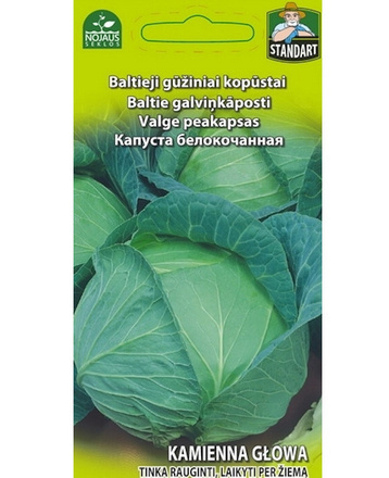 Keräkaali "Kamienna Glowa" - siemenet #