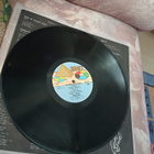 Hurriganes – Stranded In The Jungle LP - pikkukuva 5