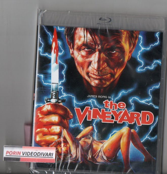 vineyard	(28 330)	UUSI	-US-	BLUR+DVD		(2)		1989	, sub.gb
