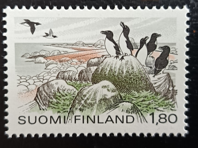 -83 Ruokkeja