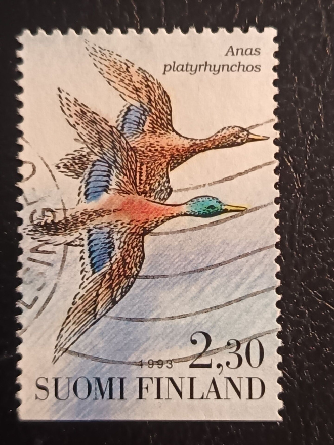 -93 Vesilintujasarjaa