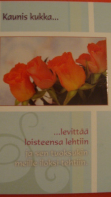 NO 1 - KAUNIS KUKKA .. LEVITTÄÄ LOISTEENSA