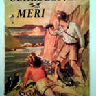Enid Blyton: Seikkailujen meri, v. 1954, 1.p. - pikkukuva 1
