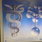 TODD RUNDGREN :: HEALING :: VINYYLI LP US-1981 !! - pikkukuva 2