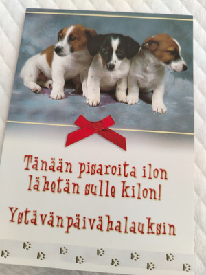 Kolme koiraa postikortti