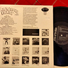 Teenage Rock´n´Roll Party LP - pikkukuva 2