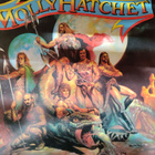 Molly Hatchet: Take No Prisoners (LP) - pikkukuva 1