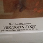 Kari Suomalainen "Visavuoren syksy" - pikkukuva 3