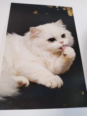 Kissa kortti,kulkematon.