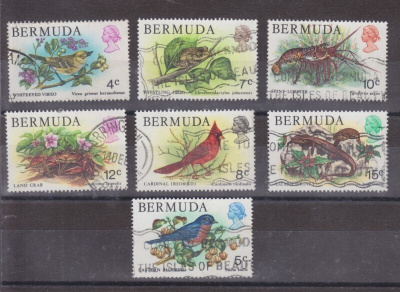 Bermuda 1978 eläimiä vanhaa