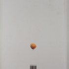 Janez Bogataj ym. : The cuisine of Slovenia : four season... - pikkukuva 2
