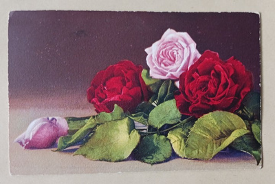 Onnitteluja punaisin ruusuin, p. 1911