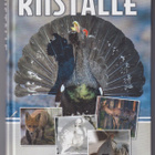 Tuomo Karsikas: Riistalle - pikkukuva 1