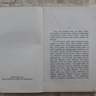 Herman Hesse: Peter Camenzind 1908 - pikkukuva 4
