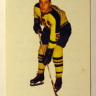 Pekka Lehtolainen TKV Champion 1966 - pikkukuva 1
