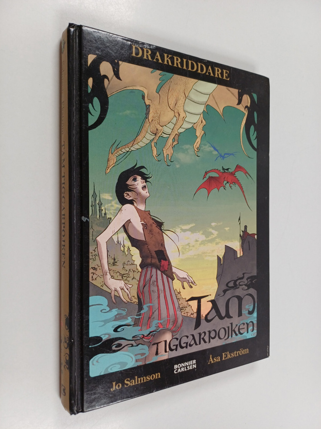 Jo Salmson : Tam, tiggarpojken