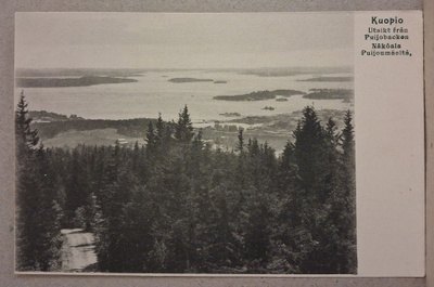 Kuopio: Näköala Puijonmäeltä *** (2221)