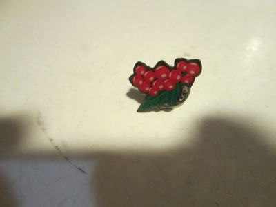 pinssi