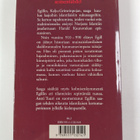 Egill Skallagrimsson : Egillin, Kalju-Grimrinpojan saaga - pikkukuva 2