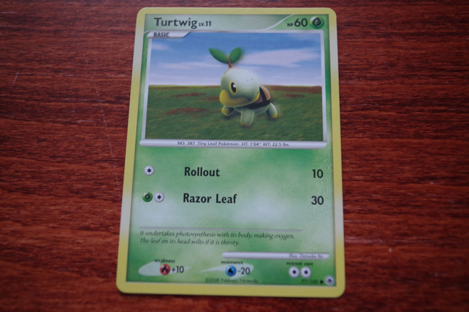 Turtwig 77/100, Majestic Dawn (2008), common