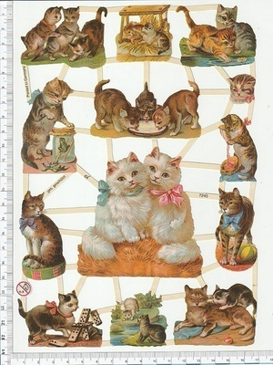 ~ EF 7245, suloinen kissa-arkki ~