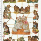 ~ EF 7245, suloinen kissa-arkki ~ - pikkukuva 1