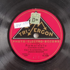 Savikiekko 1929 - Emil Svartström - Tri-Ergon TE 5588 - pikkukuva 1