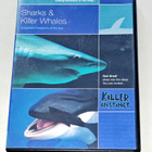 Sharks and killer whales - adaptable predators of the sea - pikkukuva 1