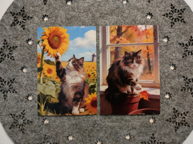 ~Kissa kortti~ 2kpl