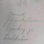 Toverit - valokuva 1929 - takana nimet + paikka + pvm - pikkukuva 4
