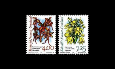 Grönlanti 256-7 ** Arktisia orkideoja I (1995)
