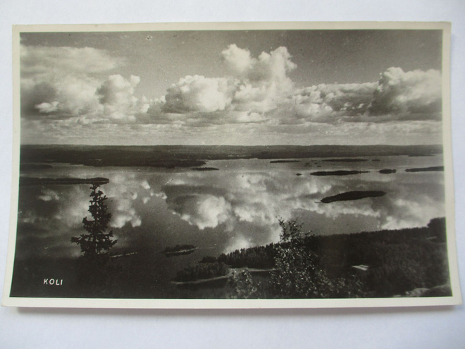 Koli pvaunu 14 - 1952