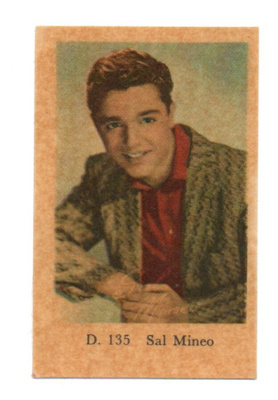 Purkkakuva D n:o 135 Sal Mineo
