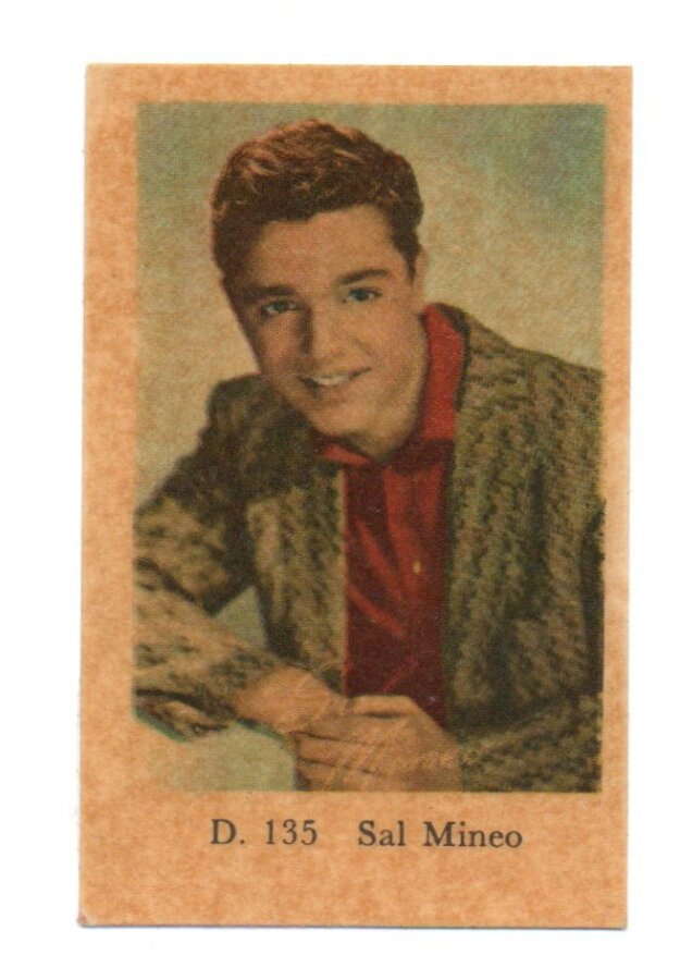 Purkkakuva D n:o 135 Sal Mineo