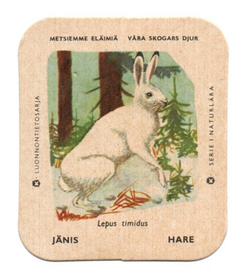 Kahvilappu JÄNIS. Isompi Kuvakoko
