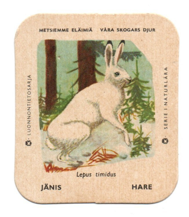 Kahvilappu JÄNIS. Isompi Kuvakoko