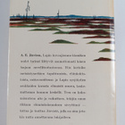A. E. Järvinen : Särkyvää kirkkautta - pikkukuva 2