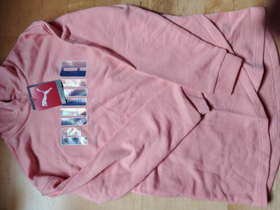 Puma huppari 152