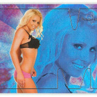 Bench Warmer 2007 There's Something About Mary #1 Mary Riley - pikkukuva 1