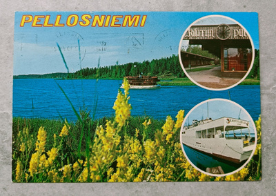 Mikkeli, Ristiina, Pellosniemi