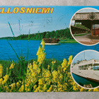 Mikkeli, Ristiina, Pellosniemi - pikkukuva 1