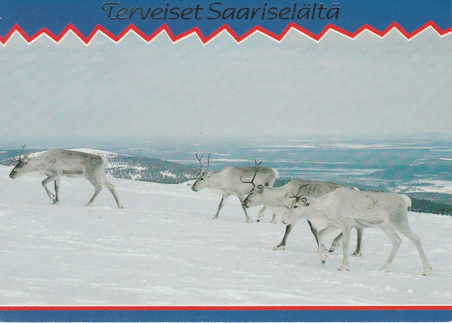 Postikortti, LAPPI, SAARISELKÄ, erikoisleima
