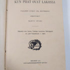 Martti Wuori ym. : Kun piiat ovat lakossa : ivallinen ilv... - pikkukuva 3